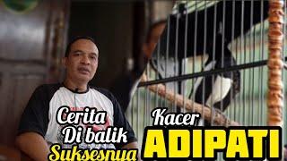 Mr Atta adipati dan Kacer adipati