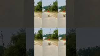charliii Rider 46 ️