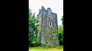 Ballintotis Castle in Ireland