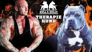 DROGENSUCHT: Ein American Bully als Therapiehund?