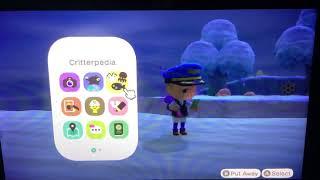 Animal crossing new horizons ACNH tips and tricks on how to avoid the sea bass