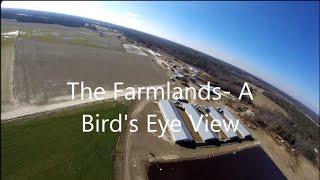 The Farmlands - A Bird's Eye View