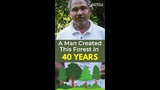 A Man Created This Forest In 40 Years | Hindustan Herald