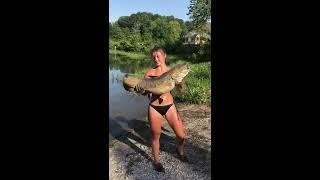 CATFISH NOODLING: 27lb Flathead Catfish weighed on HME Scales.