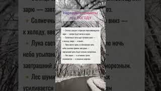 Народные приметы #приметы #погода