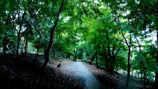 Walking in Toyama Park | Shinjuku, Tokyo 2020