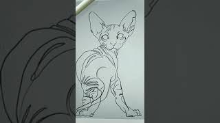 S P H Y N X  Cat Line Art by Valeria Art Boutique