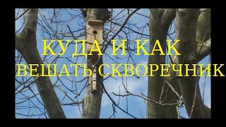 КУДА И КАК ВЕШАТЬ СКВОРЕЧНИК! ПАРА ПРАВИЛ