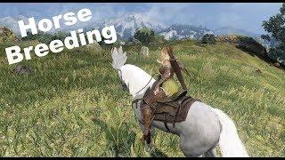 Black Desert Online: Guide on Horse Breeding