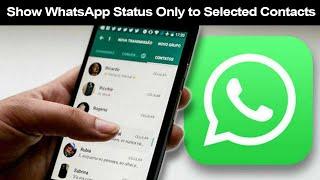 How to Show status only to selected contacts on WhatsApp? (Android)