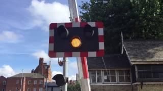 My coverage of Level Crossing Misuse. (Think Twice Before Putting Yourself In Danger)
