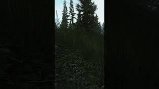 Рождение ЧВКашника в Таркове #kreonil #tarkov
