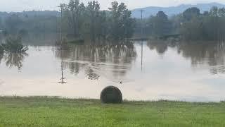 Watch as a baby deer swims across flooded Bost Road in Morganton, NC