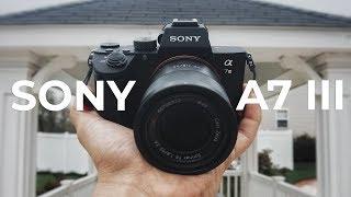 The Best Mirrorless Camera For Hybrid Shooters?! Sony a7iii Review