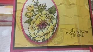 Colorful bloom video 1