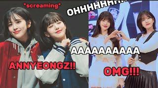 DIVE’s reactions every time YUJIN and WONYOUNG having their LITTLE moments