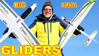 My favorite Gliders & Sail Planes for RC Beginner Pilots.