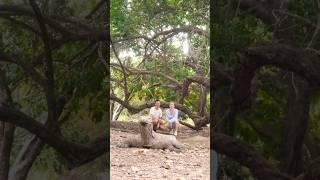 PEOPLE TAKE A PHOTO WITH KOMODO