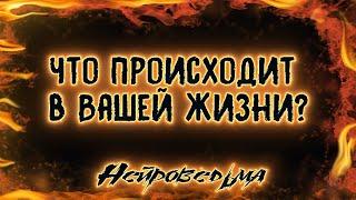 Что происходит в Вашей жизни? | Таро онлайн | Нейроведьма Светозара