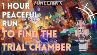 [Minecraft] One hour peaceful run to find the trial chamber | 1時間のピースフル癒し時間