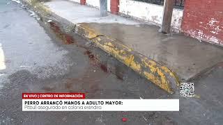 Perro arrancó manos a adulto mayor