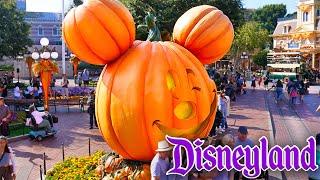 A Day at Disneyland - Jungle Cruise, Pooh, Halloween Walkthrough & Disneyland Band [4K POV]