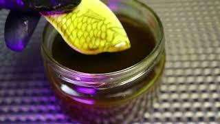 Lure "crucian carp" do it yourself