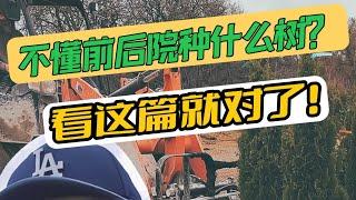  前后院种树技巧揭秘之选树种