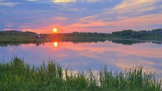 Риболовля в ПЕРШИЙ ДЕНЬ ЛІТА на Ставку. РИБИ НАЛОВИЛИ БАГАТО