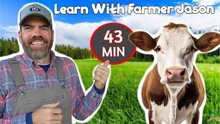 Help Find The New Cow with Farmer Jason! - (Super Fun Educational Video For Children)