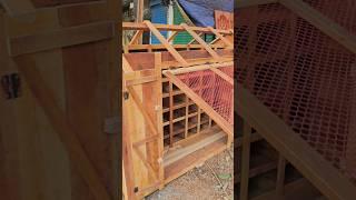 Pigeon house #pigeon #голубь #kalapati #pomba #حمامة #pigeonlover #woodwork #pet