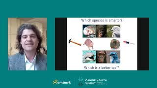 Is Your Dog a Genius? (Keynote) - Canine Health Summit 2021 - Embark for Breeders