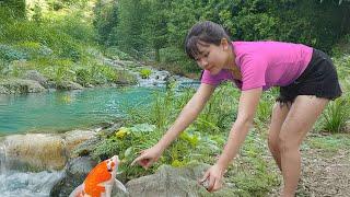 Forest Life Skills | Off-Grid Farm Life - Harvesting, Cooking, and Selling Fresh Food