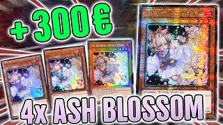 Ash Blossom Quarter Century Secret Rare | INSANE Display Opening 25th Anniversary Rarity Collection