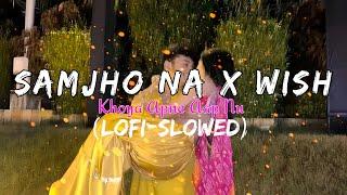 Hokay tetho duur wey sajna | Samjho Na x Wish | Lofi-Slowed | Sad Lofi Music | MoodFresh lofi |