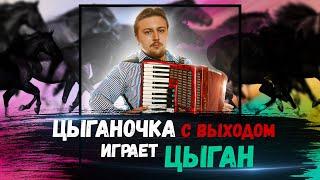 Цыганочка с выходом на аккордеоне | мастер-класс от Дани Боровика