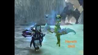 Dragon Nest Nerwin Hero / Mercenary system