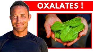 Dr. Chaffee talks about  OXALATES & Diet
