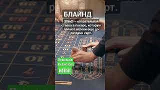 Что такое Блайнд (Blind) в покере? #покер #poker #покеробучение #школапокера #ставка