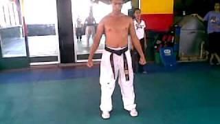 Instructional Video Taeguk 6 by Master Jay Jumawan