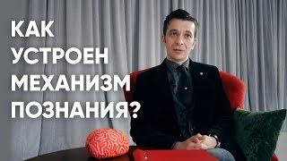 Как устроено человеческое познание?