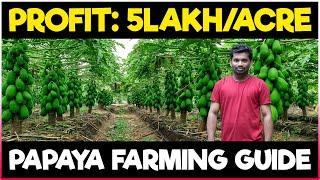 Papaya Farming / Pawpaw Cultivation | COMPLETE GUIDE | How to grow Papaya