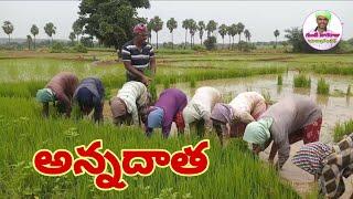 Annadhatha song | farmer song | etv annadhatha |guntinagaraju అన్నదాత సాంగ్