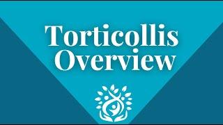 Torticollis Program at Progressive Pediatric Therapy