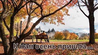 «Осень - всему свое время» - Пётр Бальжик