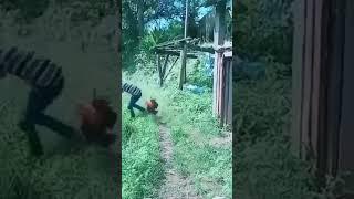 funny vieo # best funny video clip # new funny video# fun# joke video# very funny video # hashi