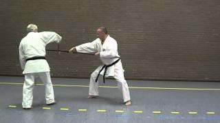 Ryukyu Kobujutsu Holland
