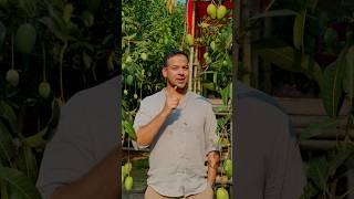 Most important Trading set up || trading psychology || investor kazi￼