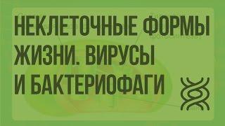 Неклеточные формы жизни. Вирусы и бактериофаги. Видеоурок по биологии 10 класс