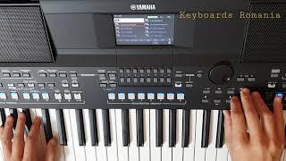 Yamaha PSR-SX600 - Entertainment Styles Category